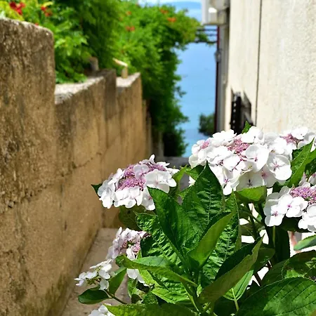 Irma * Podstrana