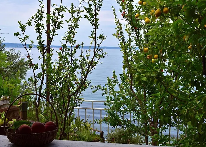 Apartament Irma *