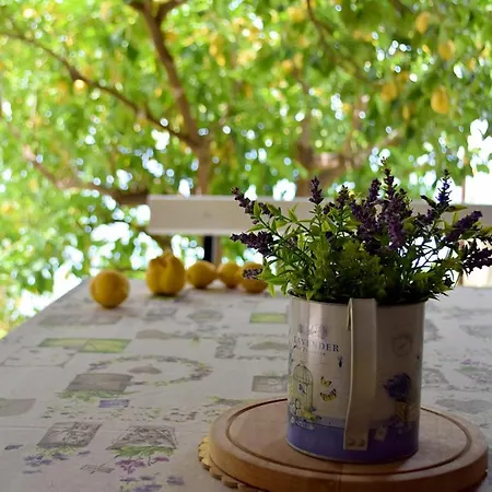 公寓 Irma 珀德垂那