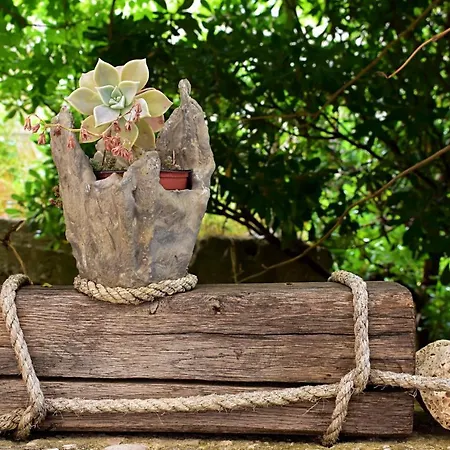 Irma 公寓 珀德垂那