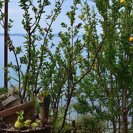 Irma 公寓 珀德垂那